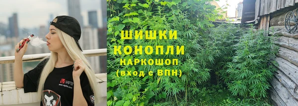СК Бородино