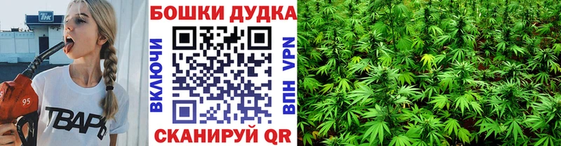 как найти закладки  Тосно  Каннабис конопля 